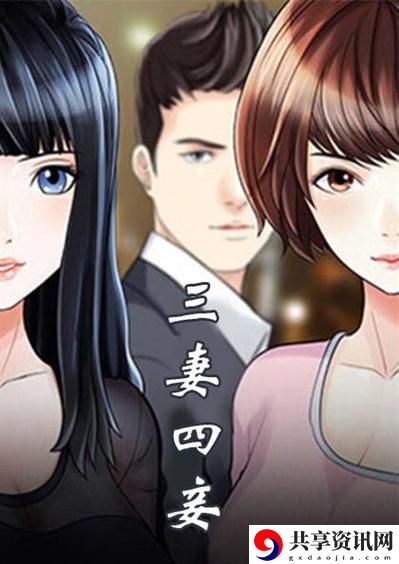 三妻四妾免费观看完整版