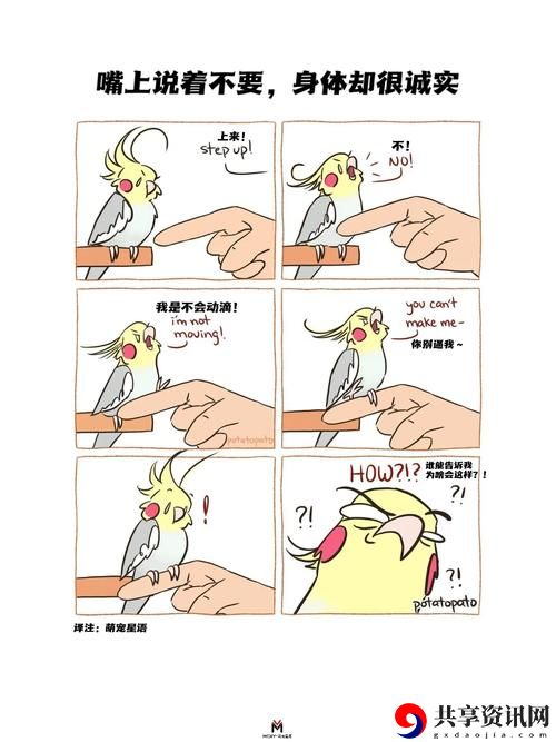 18 无套直行为背后