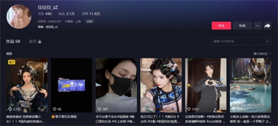 演员名单介绍 宠物成长攻略与技能解锁