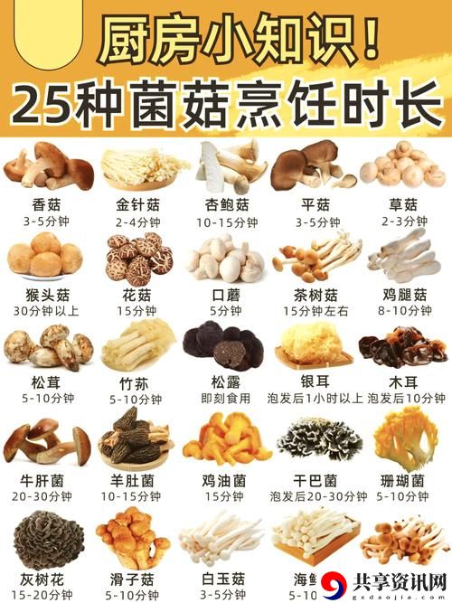  蘑菇黑料大揭秘：从种植到餐桌的真相