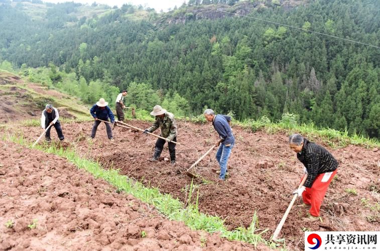 开垦老师肥沃的土地，网友表示：教育需要更多的理解与支持