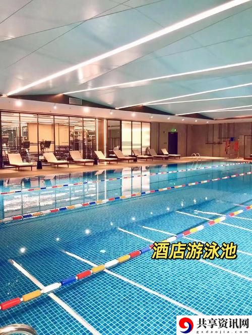  探索“游泳池的特殊待遇2”背后的故事