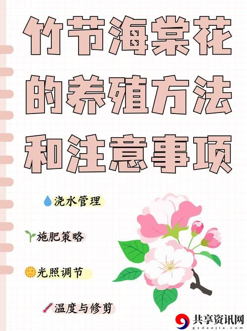 在“被系统浇灌的日常”中寻求自我成长