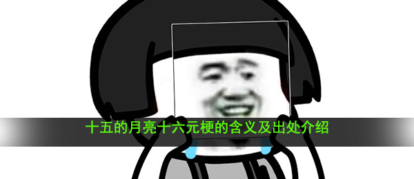 十五的月亮十六元是什么梗-十五的月亮十六元梗的含义及出处介绍