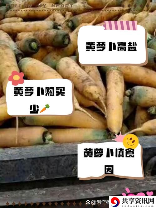 黄WWW禁止男女萝卜，观众：对文化现象的反思与启示
