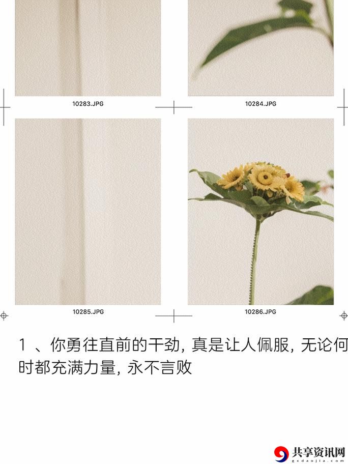 日夜不停干劲十足的意思，用户：对奋斗与努力的理解