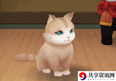 阴阳师花缘猫怎么获得？花缘猫养成攻略