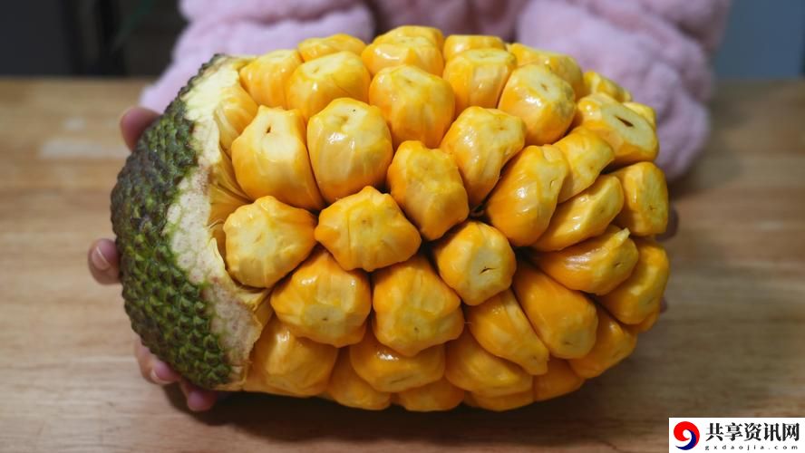 探索“菠萝蜜在线观看免费观看”的无限魅力