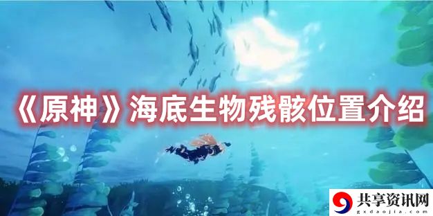 海底生物残骸位置介绍 改变战局走向