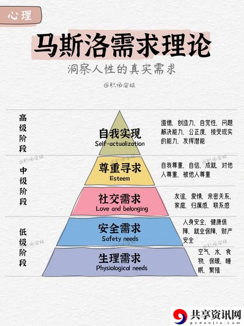 探讨人性理论与XY理论的关系及其在管理中的应用