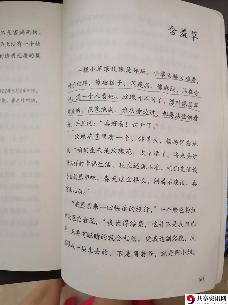  含羞草电视剧的背后故事：一段关于勇气与坚韧的旅程