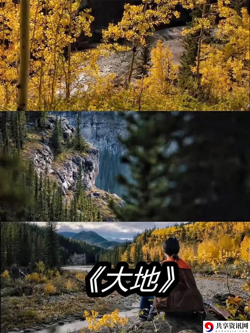 大地资源视频在线观看免费高清，观众：探索自然的无限魅力