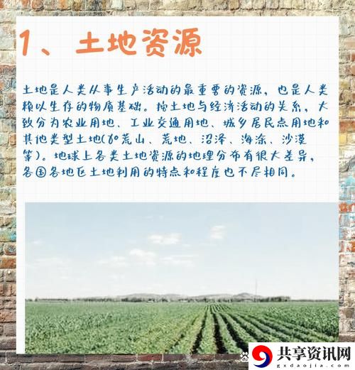 大地资源第二页中文高清版免费不花钱，网友：这种资源真是太赞了！