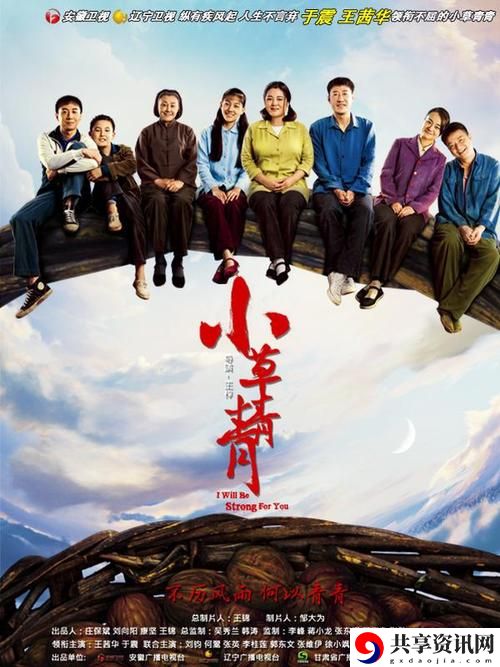探秘“小草影视电视剧免费”：影视爱好者的新乐园