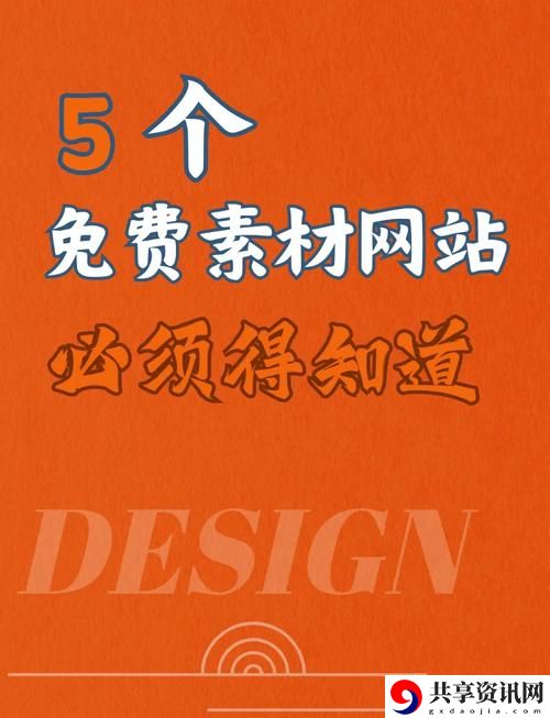  技术创新与发展：解密成品站1.1.719的商业潜力