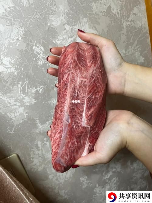 大肉大捧一进一出视频，用户热议：不可思议的烹饪艺术与美食文化