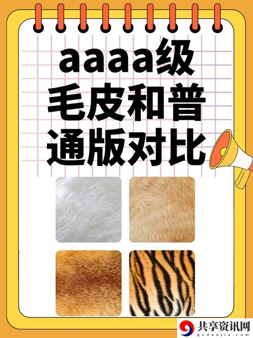 揭示AAAA级毛皮和AAAA的区别，了解背后的秘密