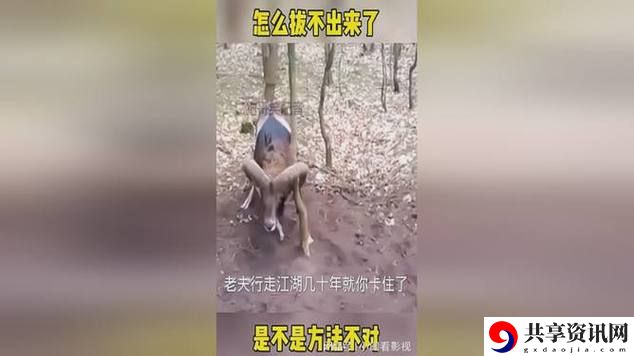 老师下面太紧拔不出来该怎么办，网友评价：各抒己见，建议多元