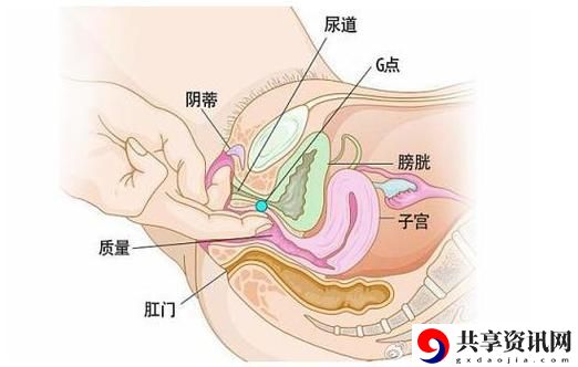 大荫蒂BBBBBB大荫蒂，网友：这真是个惊人的现象！