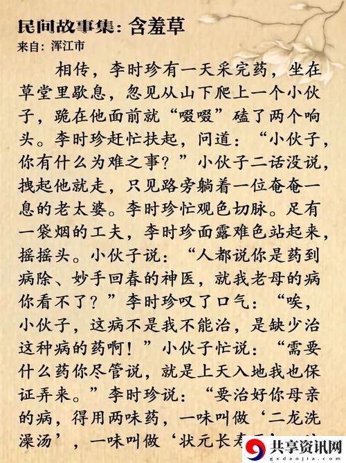 含羞草免费观看电视剧的背景故事，粉丝：情感的共鸣与艺术的魅力