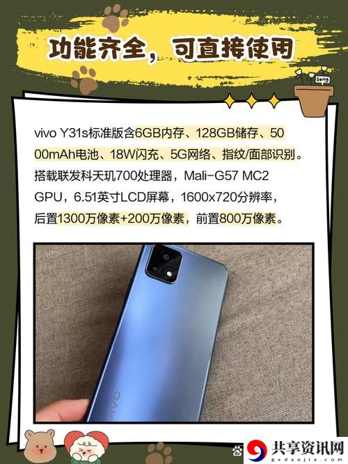 探寻y31成色好的魅力所在