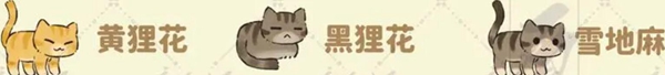 猫咪喜好大全 地图隐藏区域与探索指南