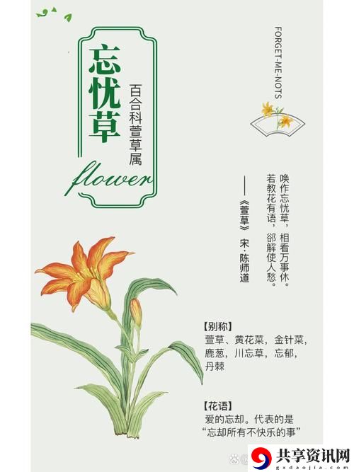 “乱码一线二线三线忘忧草，网友分享：我们心中的宁静与迷茫”