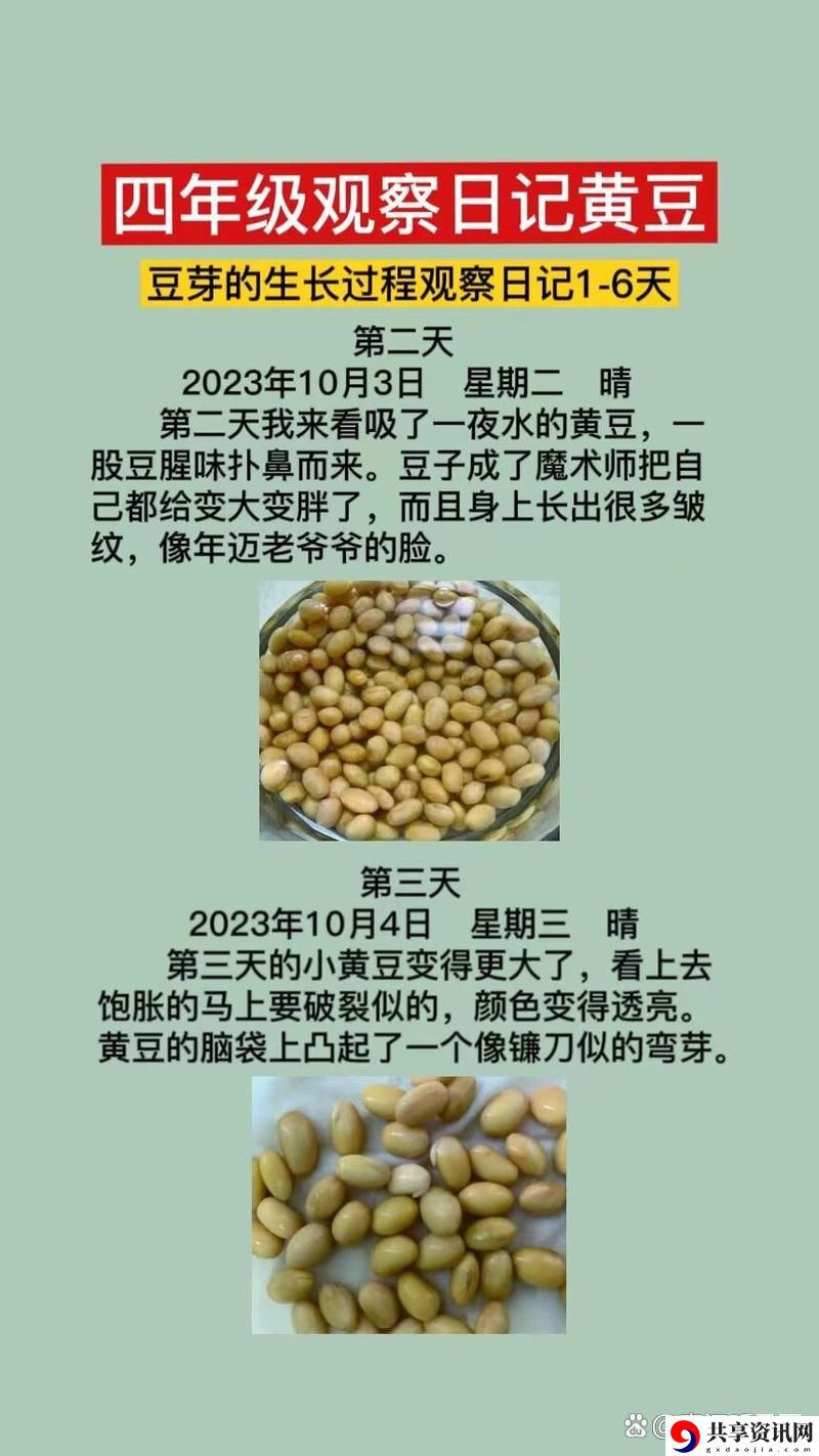 小翠日记1-6，粉丝：那段岁月的细腻与温情