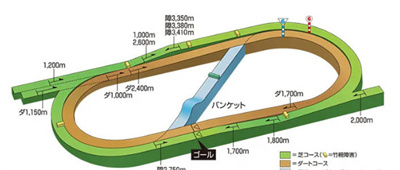 比赛场地数量介绍 稀有道具获取技巧
