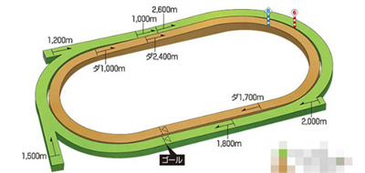 比赛场地数量介绍 稀有道具获取技巧