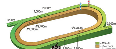 比赛场地数量介绍 稀有道具获取技巧