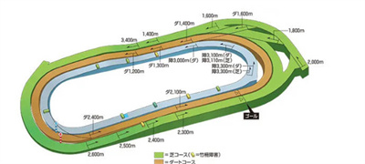 比赛场地数量介绍 稀有道具获取技巧