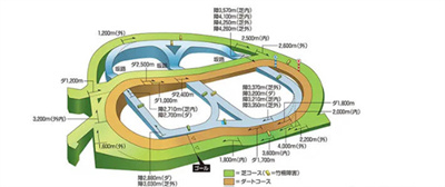 比赛场地数量介绍 稀有道具获取技巧