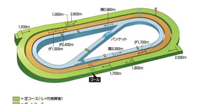 比赛场地数量介绍 稀有道具获取技巧