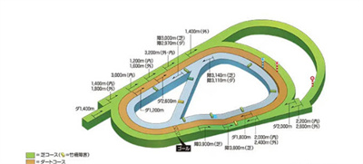比赛场地数量介绍 稀有道具获取技巧