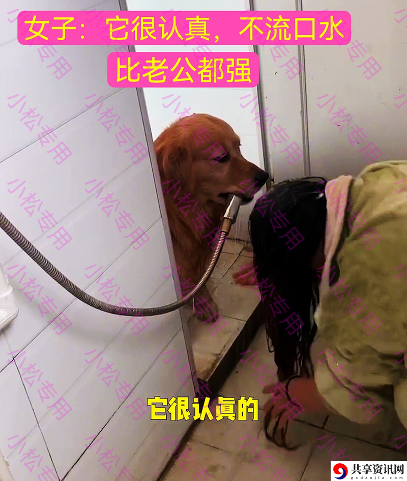  老公不在家狗狗的东西能要吗？解锁宠物与生活的平衡