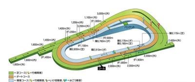 比赛场地数量介绍 稀有道具获取技巧