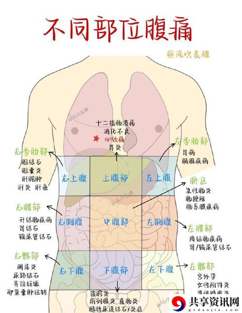 女上男下姿势后左下腹肚子疼，用户热议：疼痛的原因与解决方法