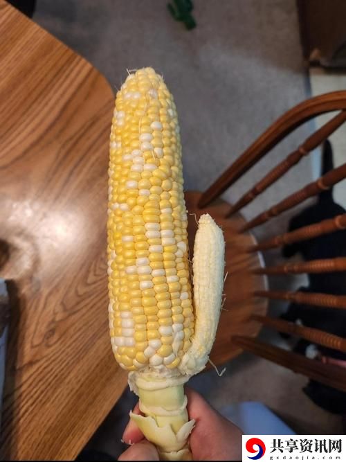 草莓樱桃丝瓜秋葵榴莲黄瓜大全，读者：探索五彩缤纷的夏季水果与蔬菜世界