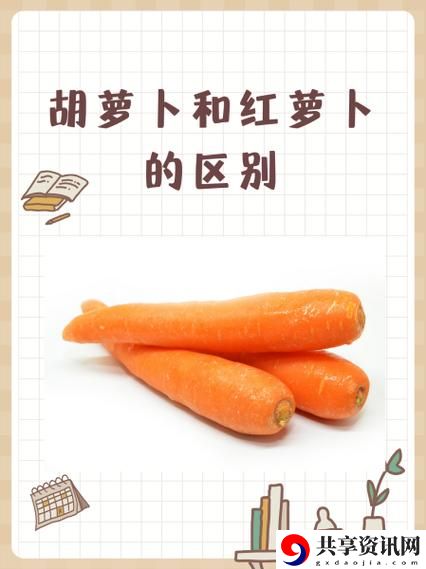 女的用胡萝卜用大头还是小头火爆上线，平台：颠覆传统美容方式的选择