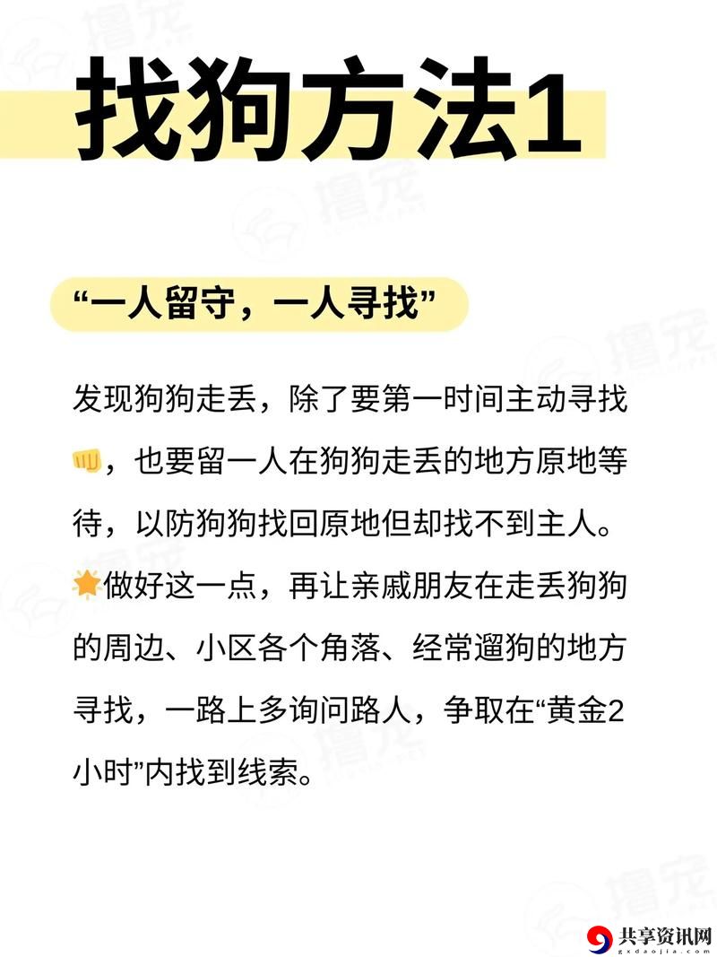  遇到麻烦了！不小心跟狗连在一起了怎么办？