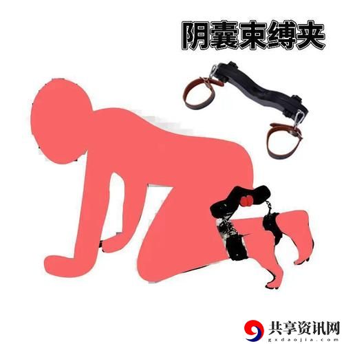 小玩具的奇妙冒险：“他戴上小玩具调到10档”后的神秘旅程