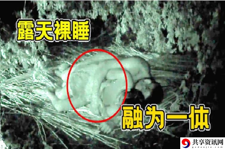 二人造孩子全程不盖被子黄火爆上线，平台：重磅推出感人家庭故事