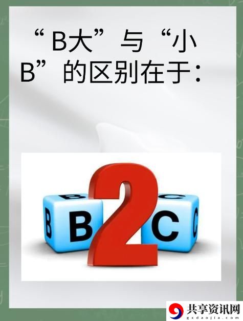  大B与小B的区别，网友：一场关于未来的选择