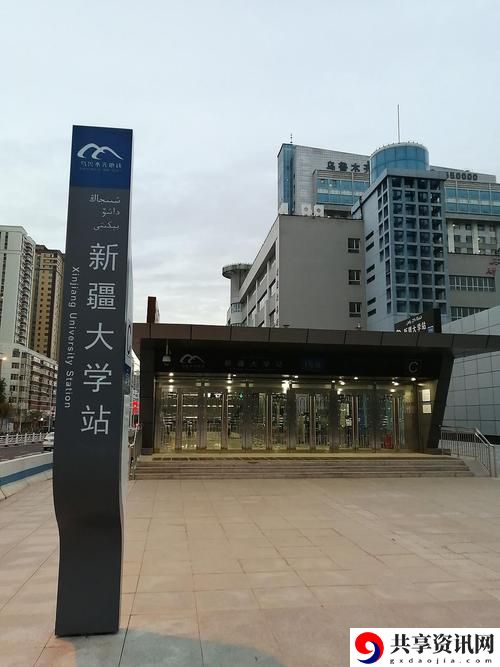 探秘“9.1人站”：一场数字与现实交织的社会实践