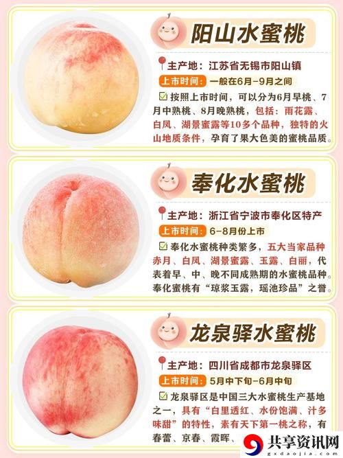  蜜桃国精产品二三三区的奇妙体验与独特魅力