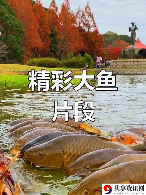  大鱼免费完整版视频上线，网友：期待已久，终于来啦！