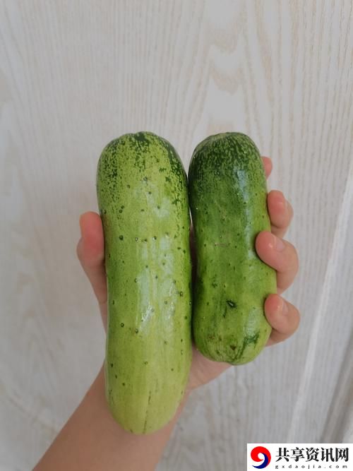  18水蜜桃与大黄瓜最新动态，用户热议：
