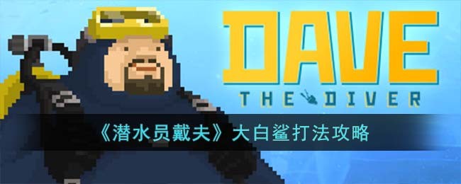 大白鲨打法攻略 保持最佳状态