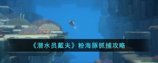 粉海豚抓捕攻略 隐藏任务解析全攻略
